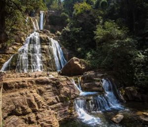 Selva Central: opción turística para feriado
