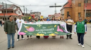 Oxapampa: Aprueban plan clave para proteger a los polinizadores en la reserva BIOAY