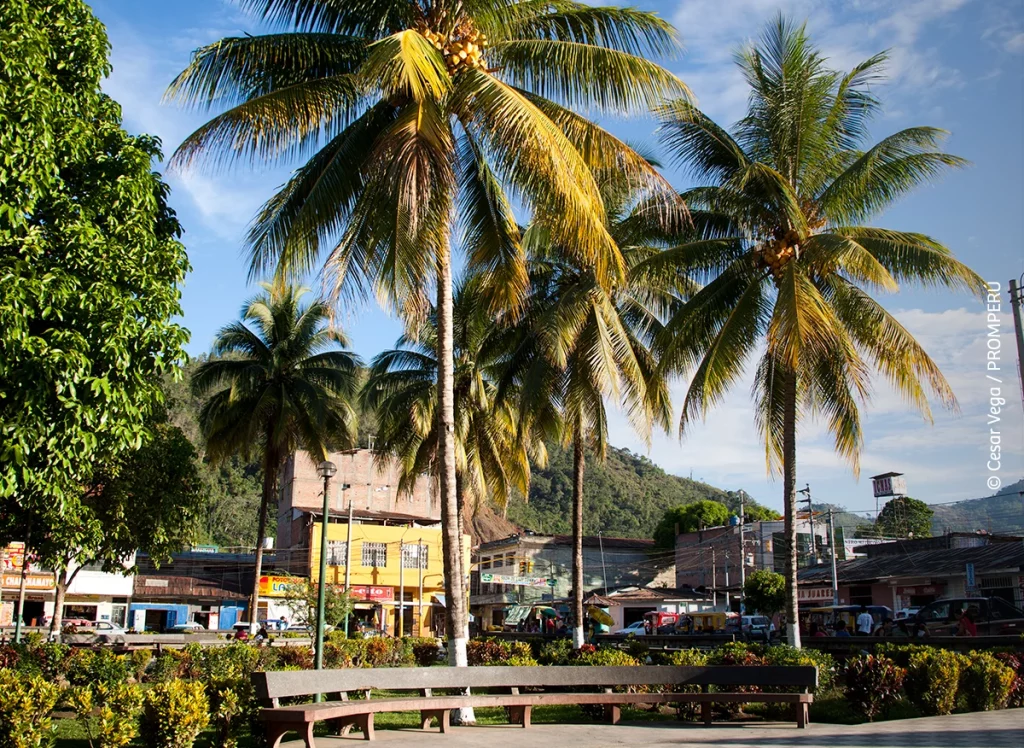 Selva Central en Fiesta: Semana Turística