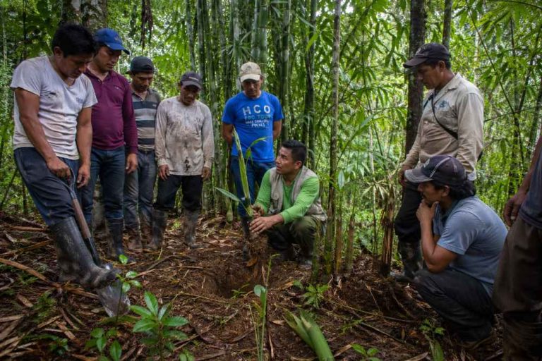 proyecto bambu oxapampa capacitacion puerto bermudez