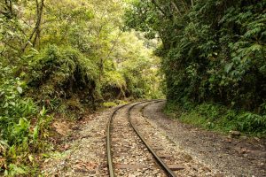 chanchamayo retos y potencial en la sel