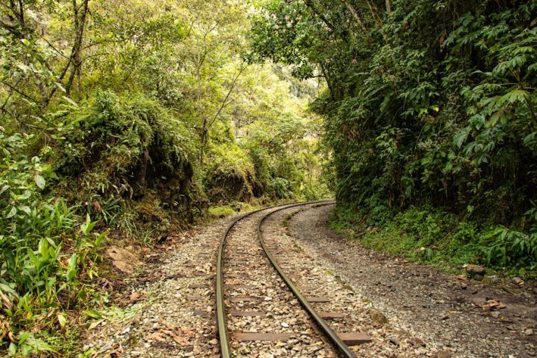 chanchamayo retos y potencial en la sel