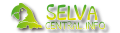 logo selvacentral info22