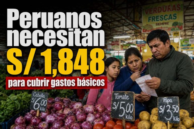 gastos basicos peru canasta familiar inei