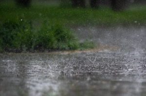 Close-up of heavy rainfall splattering on outdoor pavement with green foliage in the background.
