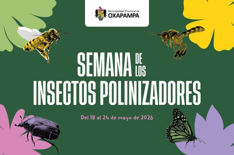 polinizadores