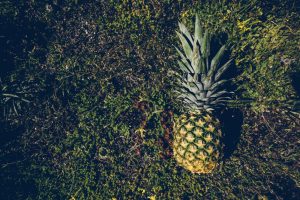 Aerial view of a ripe pineapple placed on lush green grass, showcasing tropical freshness.